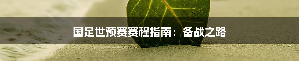 国足世预赛赛程指南：备战之路