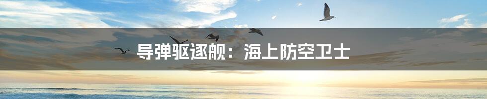 导弹驱逐舰：海上防空卫士