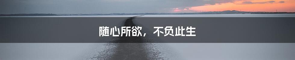 随心所欲，不负此生