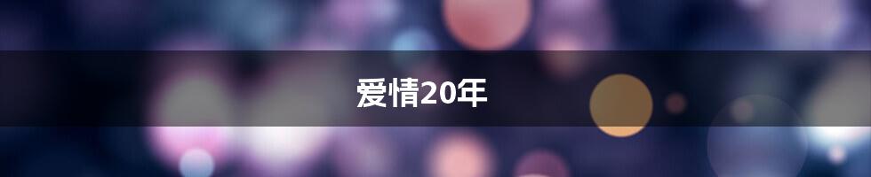 爱情20年