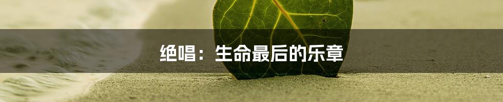 绝唱：生命最后的乐章