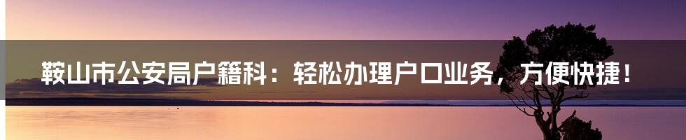 鞍山市公安局户籍科：轻松办理户口业务，方便快捷！