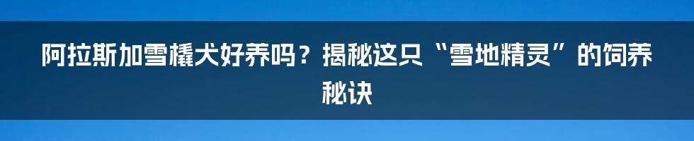 阿拉斯加雪橇犬好养吗？揭秘这只“雪地精灵”的饲养秘诀