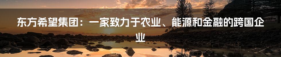 东方希望集团：一家致力于农业、能源和金融的跨国企业