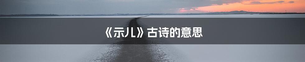 《示儿》古诗的意思