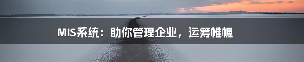 MIS系统：助你管理企业，运筹帷幄