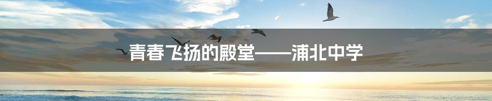 青春飞扬的殿堂——浦北中学