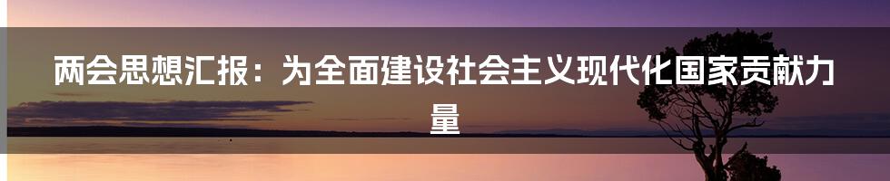 两会思想汇报：为全面建设社会主义现代化国家贡献力量