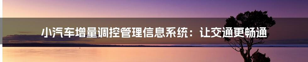 小汽车增量调控管理信息系统：让交通更畅通