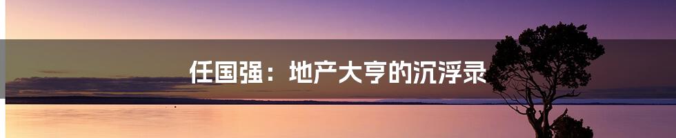 任国强：地产大亨的沉浮录