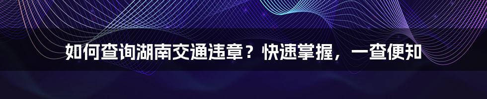 如何查询湖南交通违章？快速掌握，一查便知