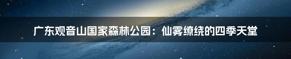 广东观音山国家森林公园：仙雾缭绕的四季天堂