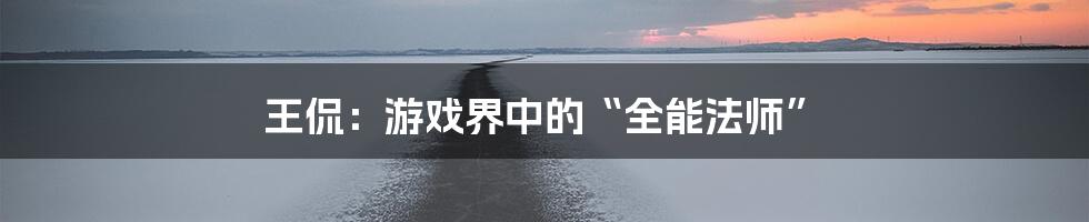 王侃：游戏界中的“全能法师”