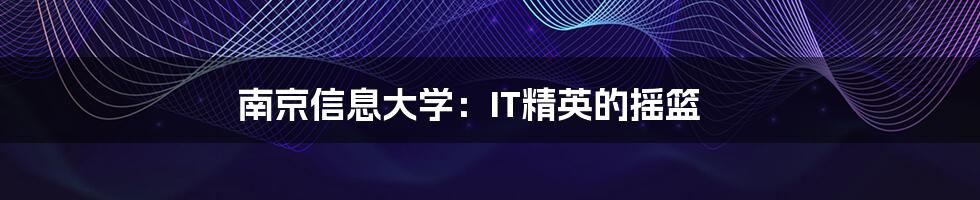 南京信息大学：IT精英的摇篮