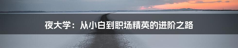 夜大学：从小白到职场精英的进阶之路