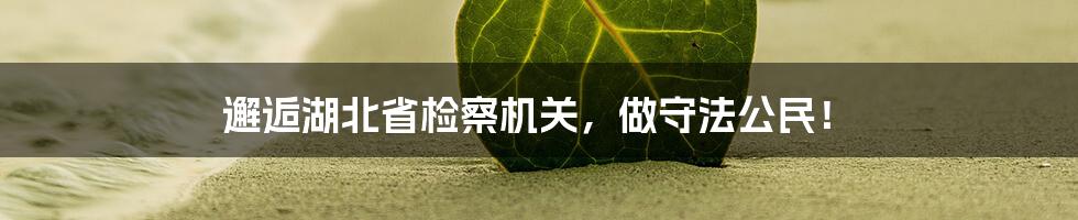 邂逅湖北省检察机关，做守法公民！