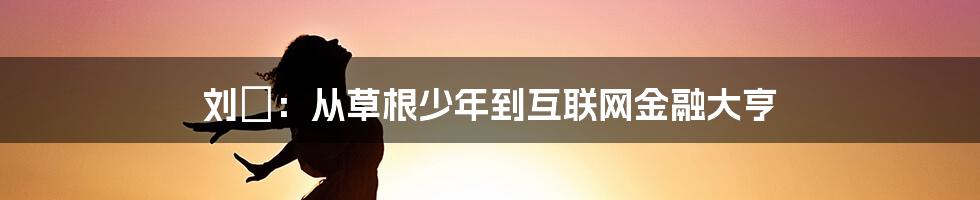 刘喆：从草根少年到互联网金融大亨