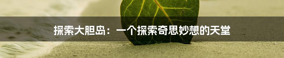 探索大胆岛：一个探索奇思妙想的天堂