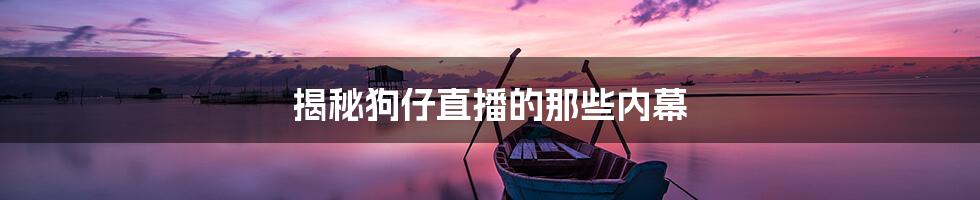 揭秘狗仔直播的那些内幕