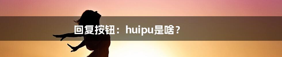 回复按钮：huipu是啥？