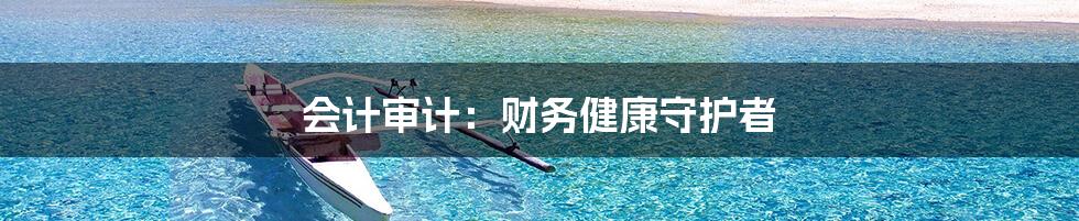 会计审计：财务健康守护者