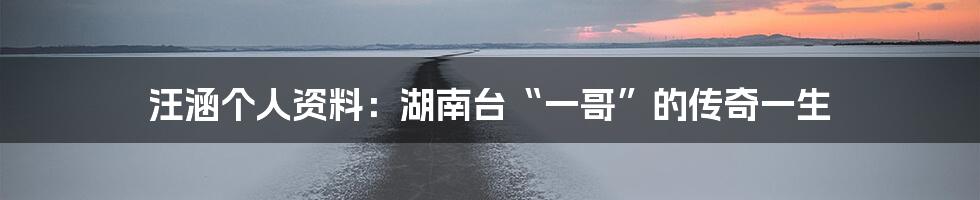 汪涵个人资料：湖南台“一哥”的传奇一生