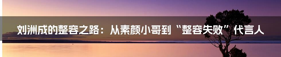 刘洲成的整容之路：从素颜小哥到“整容失败”代言人