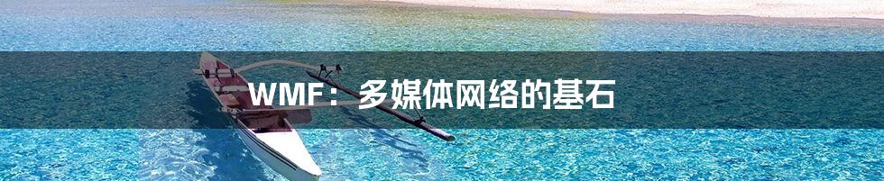 WMF：多媒体网络的基石