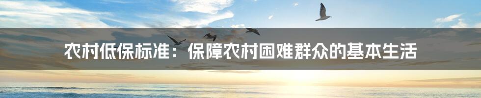 农村低保标准：保障农村困难群众的基本生活