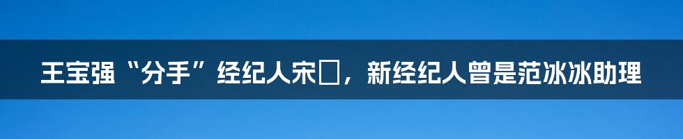 王宝强“分手”经纪人宋喆，新经纪人曾是范冰冰助理