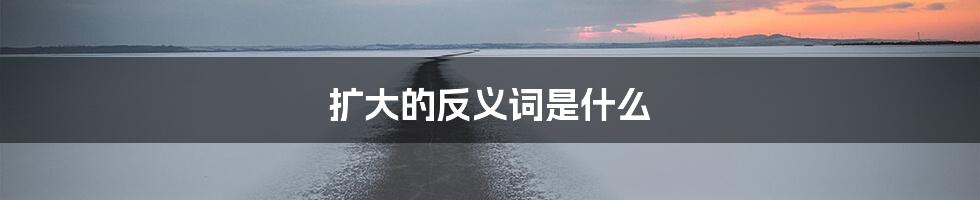 扩大的反义词是什么