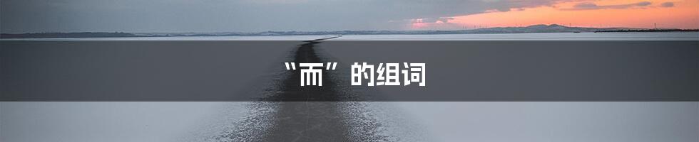 “而”的组词