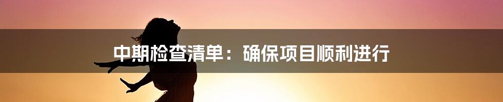 中期检查清单：确保项目顺利进行