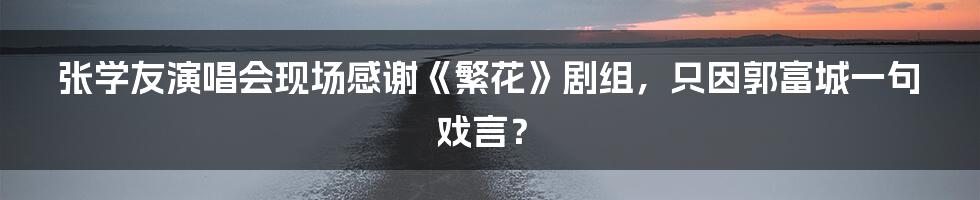 张学友演唱会现场感谢《繁花》剧组，只因郭富城一句戏言？