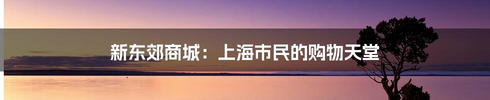 新东郊商城：上海市民的购物天堂