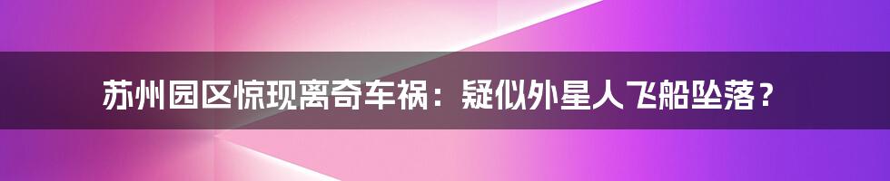 苏州园区惊现离奇车祸：疑似外星人飞船坠落？