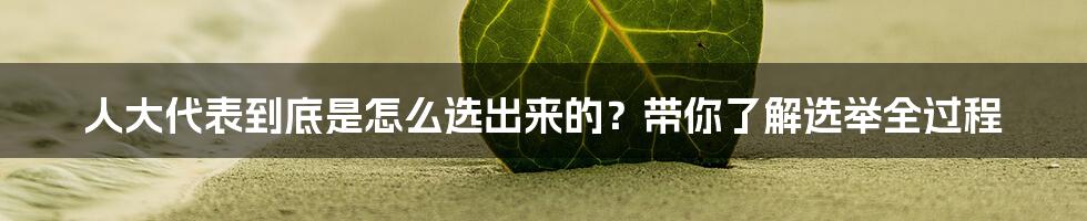 人大代表到底是怎么选出来的？带你了解选举全过程