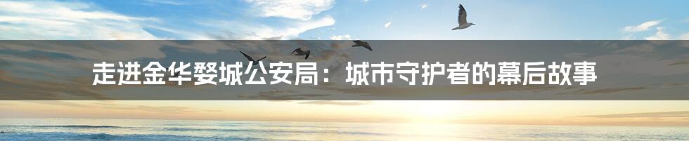 走进金华婺城公安局：城市守护者的幕后故事