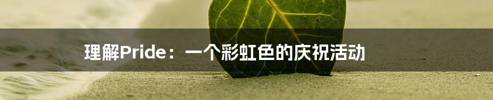 理解Pride：一个彩虹色的庆祝活动