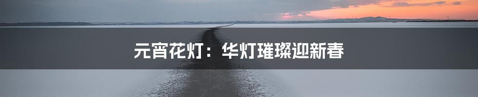 元宵花灯：华灯璀璨迎新春