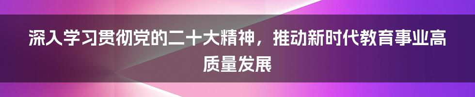 深入学习贯彻党的二十大精神，推动新时代教育事业高质量发展