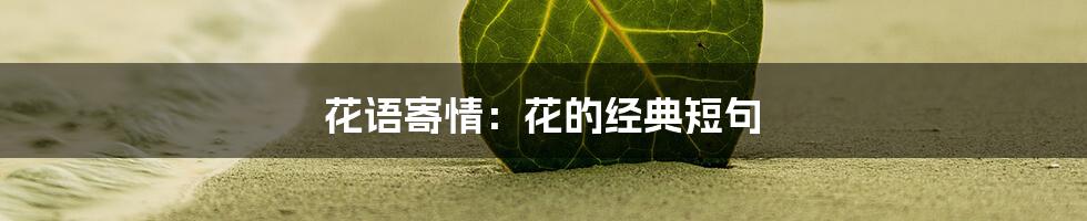 花语寄情：花的经典短句