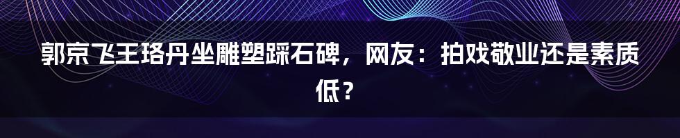 郭京飞王珞丹坐雕塑踩石碑，网友：拍戏敬业还是素质低？