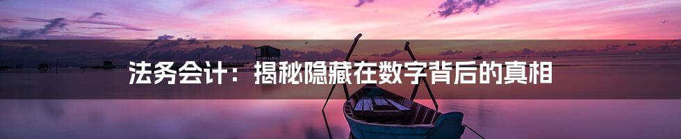 法务会计：揭秘隐藏在数字背后的真相