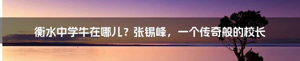 衡水中学牛在哪儿？张锡峰，一个传奇般的校长