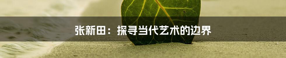 张新田：探寻当代艺术的边界