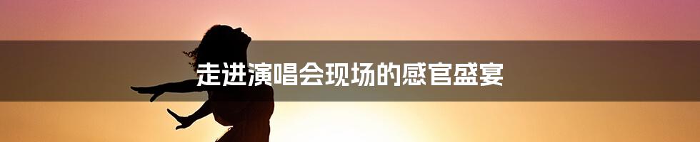 走进演唱会现场的感官盛宴