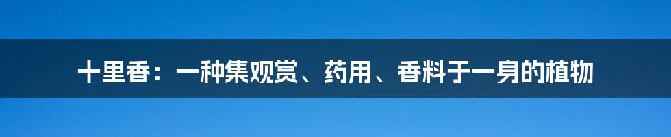 十里香：一种集观赏、药用、香料于一身的植物