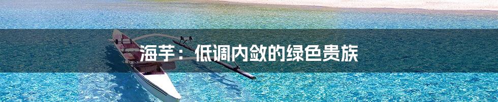 海芋：低调内敛的绿色贵族