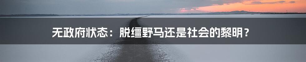 无政府状态：脱缰野马还是社会的黎明？